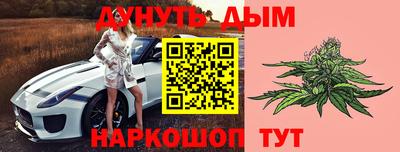 гашик Можга