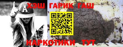 гашик Можга